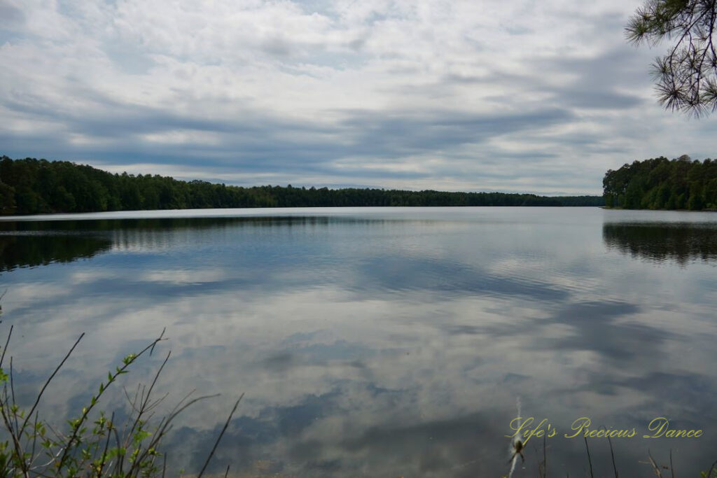 Landscape view of Lake Juniper. A mix of trees, clouds and blue skies reflecting on the water&#039;s surface. A writing spider can be seen in the bottom right corner.