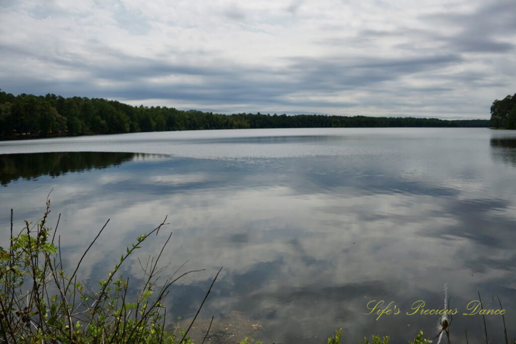 Landscape view of Lake Juniper. A mix of trees, clouds and blue skies reflecting on the water&#039;s surface. A writing spider can be seen in the bottom right corner.