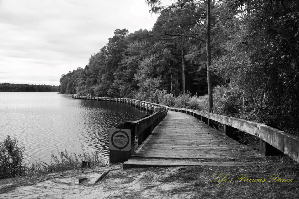 Black and white of a boardwalk running along the right side of Lake Juniper. Cloudy skies overhead.