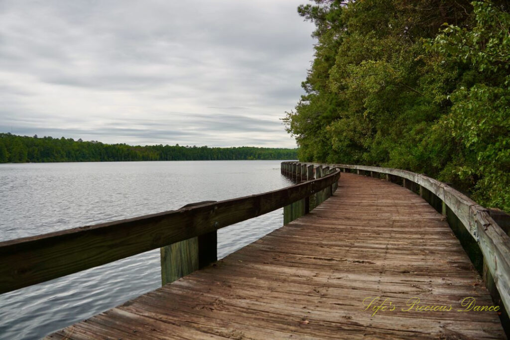 Boardwalk curving around the right side of Lake Juniper. A row or trees on its side.