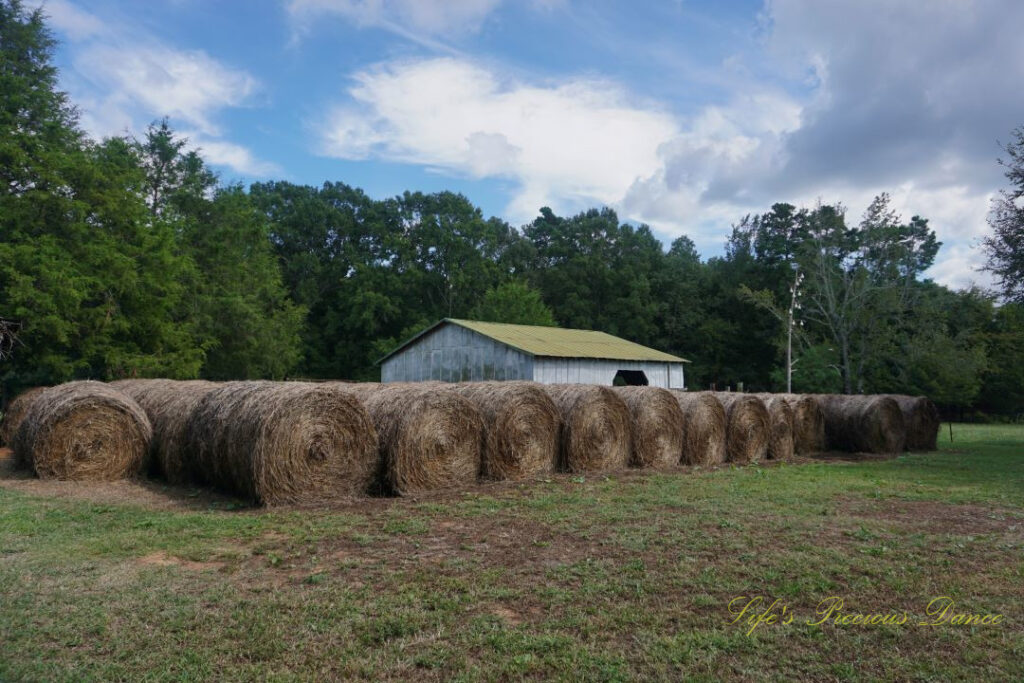 Rows of hay bales with a barn behind them. Passing clouds overhead.