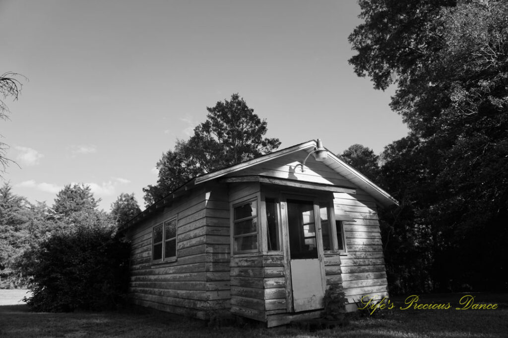 Black and white of a small pottery house surrounded by trees.