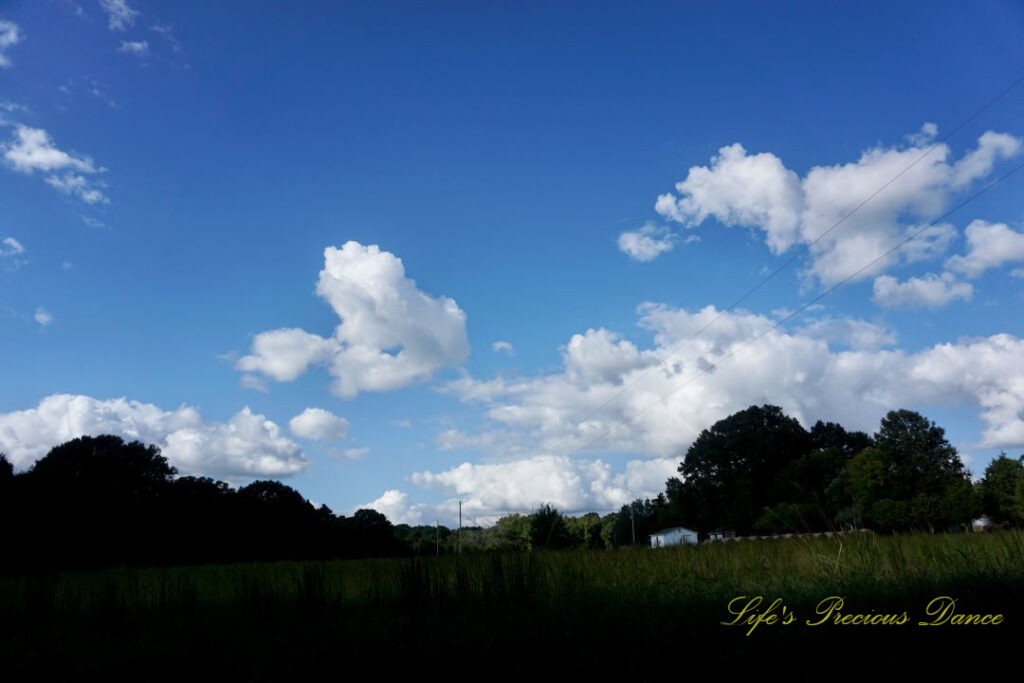 Landscape view of a pasture. Fluffy clouds overhead. A farmhouse and trees in the background.