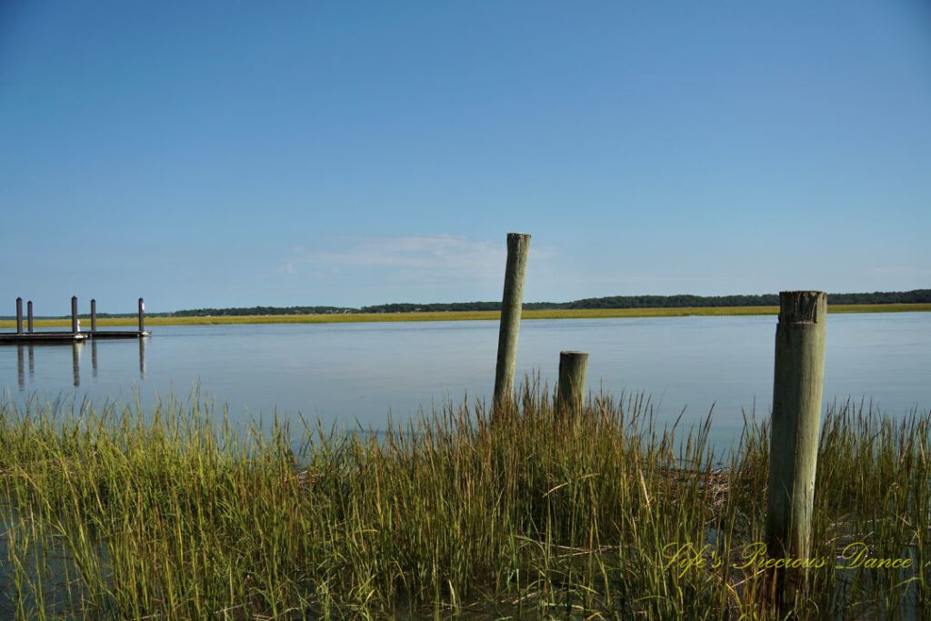 Pier posts amongst marsh grass in Big Bear Creek at The Marina at Edisto Island. Docks can be seen in the background.