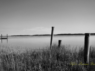 Black and white of pier posts amongst marsh grass in Big Bear Creek at The Marina at Edisto Island.