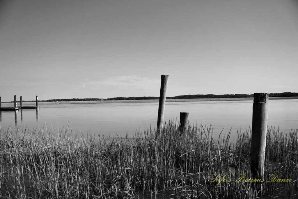 Black and white of pier posts amongst marsh grass in Big Bear Creek at The Marina at Edisto Island.