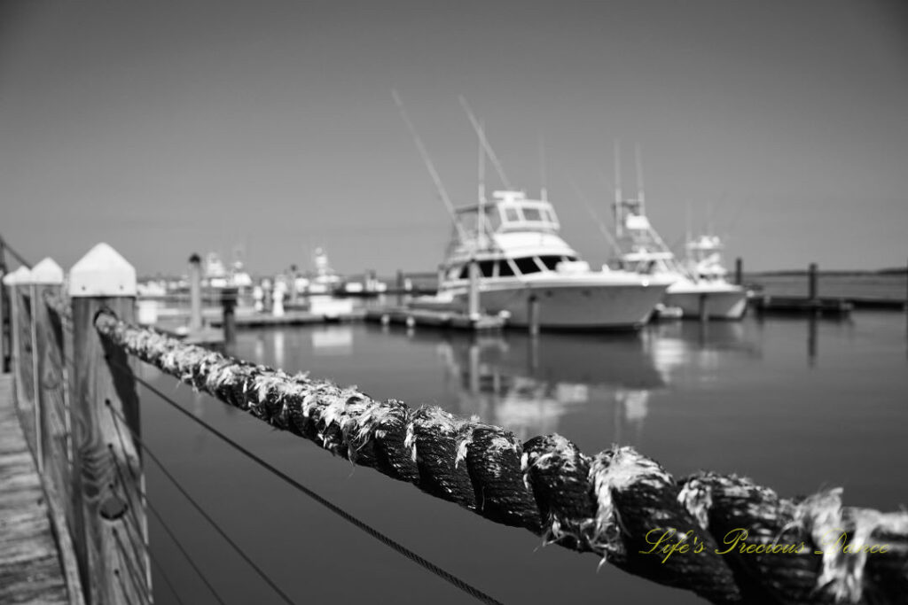 Black and white close up of a frayed rope barrier along a pier. Fishing boats reflecting on the water in the background.