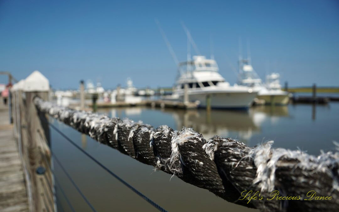 Close up of a frayed rope barrier along a pier. Fishing boats reflecting on the water in the background.