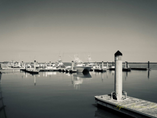 Black and white of fishing boats along docks, reflecting on the water, at The Marina at Edisto Island.