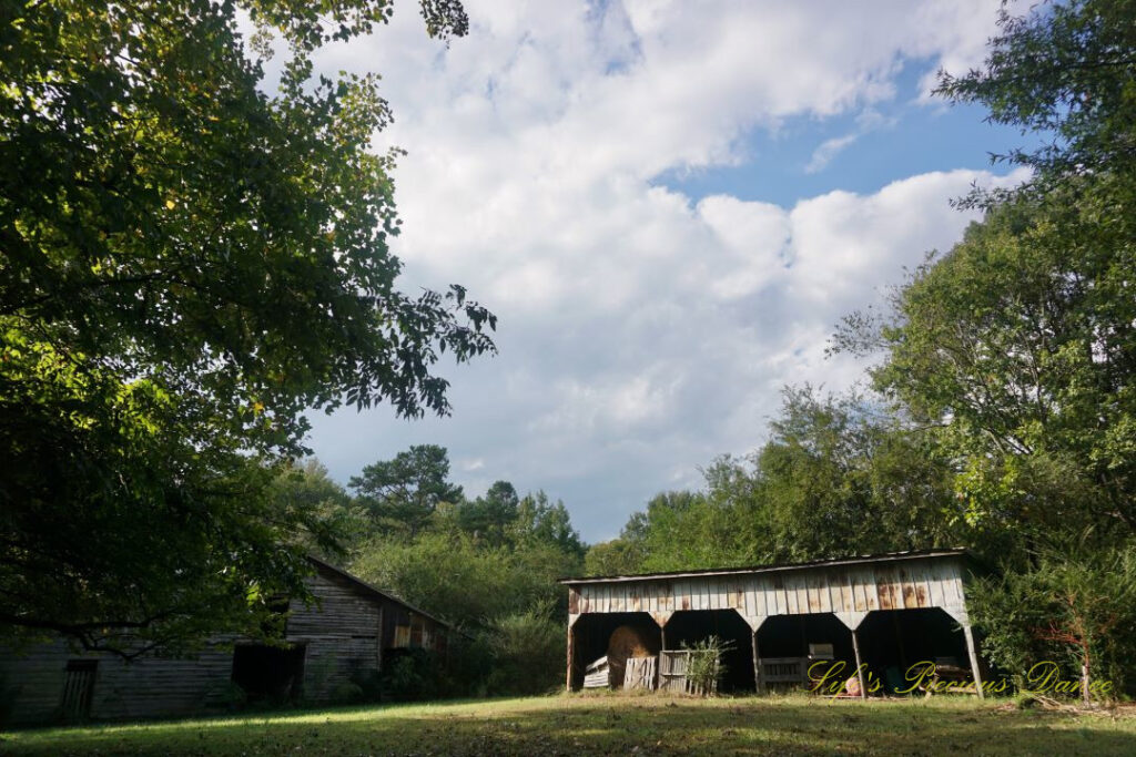 Two barns side by side, surrounded by trees. Passing clouds overhead.