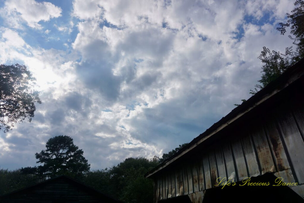 Fluffy clouds high overhead trees. The upper portion of a barn to the right.