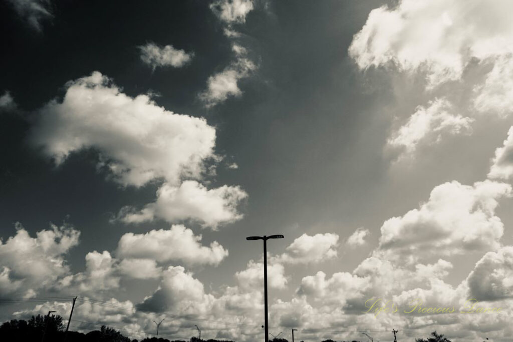 Black and white of fluffy passing clouds against a deep blue sky, A lone light pole in the center.