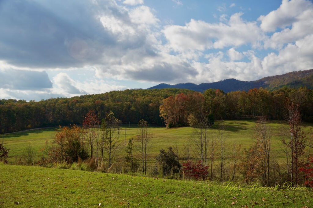 Landscape view of Grant Meadow. Trees, a mountain range in the background and passing clouds overhead.