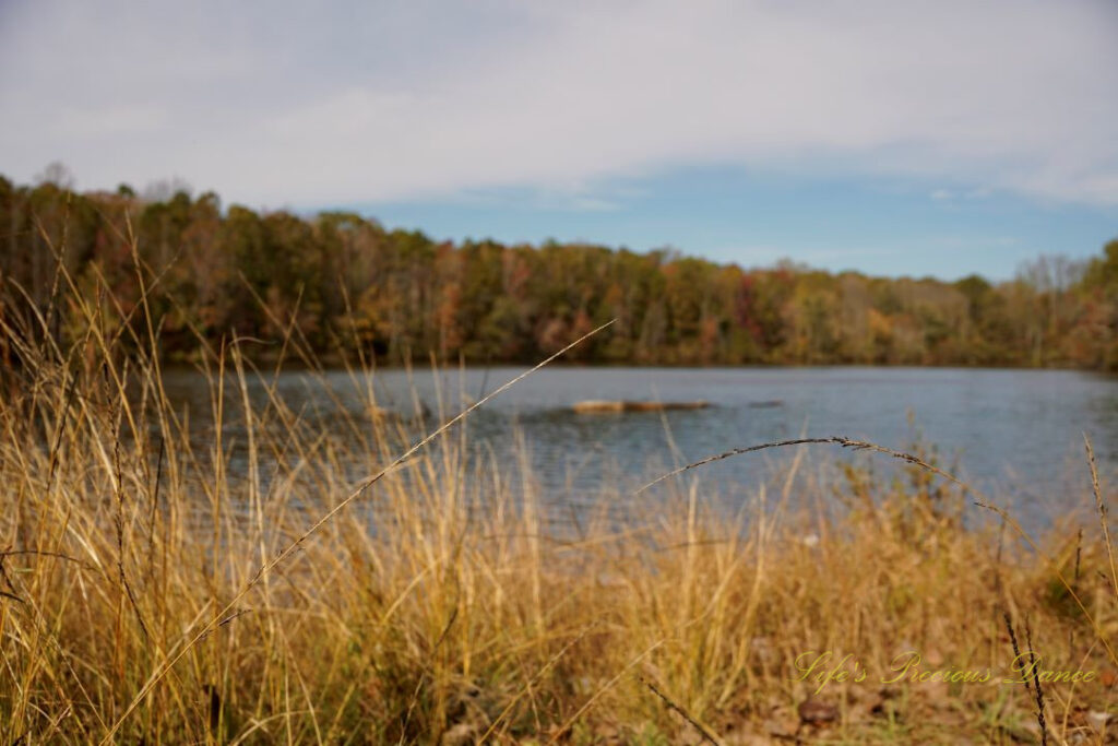 Close up of yellowish/brown grass in front of the lake and colorful trees at Andrew Jackson State Park.