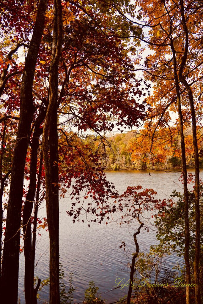 Andrew Jackson State Park Lake framed by colorful trees.