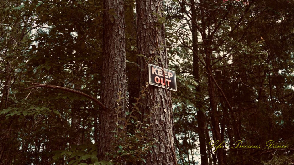 Sign posted to a pinetree reading &quot;Keep Out&quot;