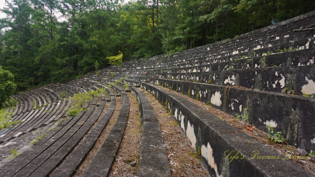 Rows of concrete seating overgrown with grass and weeds.