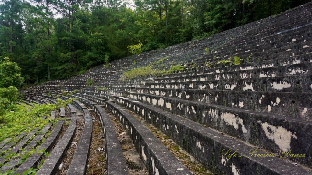 Rows of concrete seating overgrown with grass and weeds.