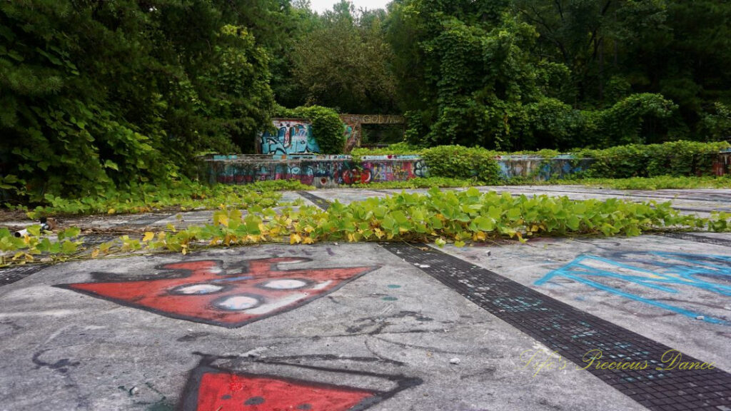 View form the middle of the abandoned pool at Springs Recreation Park. Covered in graffiti and vines.