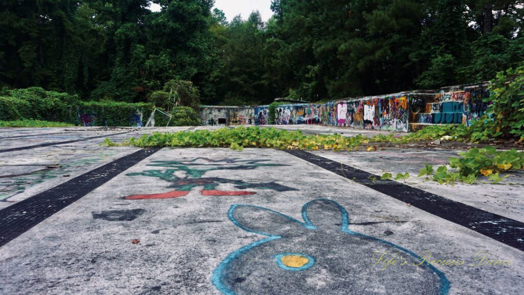 Ground level view from the abandoned graffiti covered pool at Springs Recreation Park.