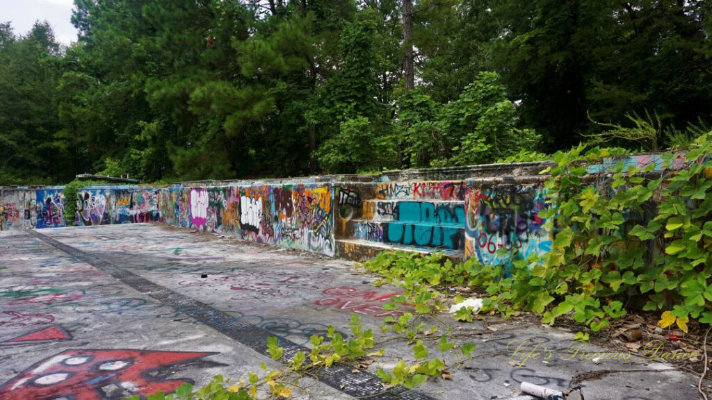 View of graffiti and vine covered wall and steps inside the abandoned Springs Recreation Pool.