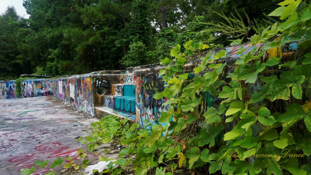 Close up view of graffiti and vine covered wall and steps inside the abandoned Springs Recreation Pool.