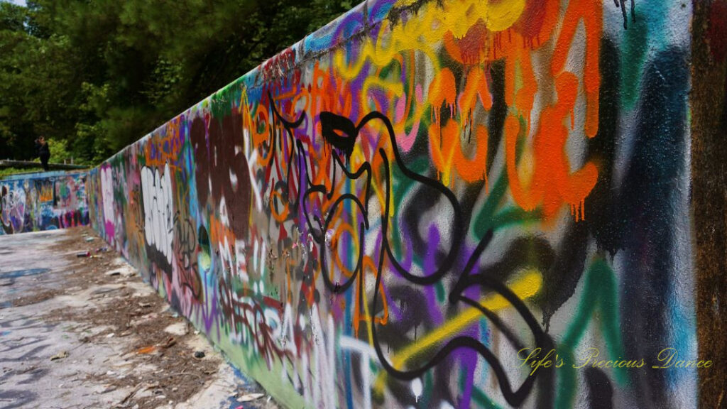 Close up view of graffiti and vine covered wall inside the abandoned Springs Recreation Pool.