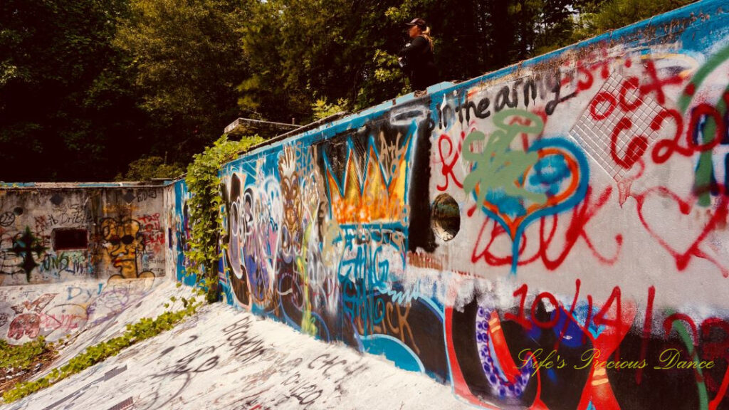 Close up view of graffiti and vine covered wall inside the abandoned Springs Recreation Pool.