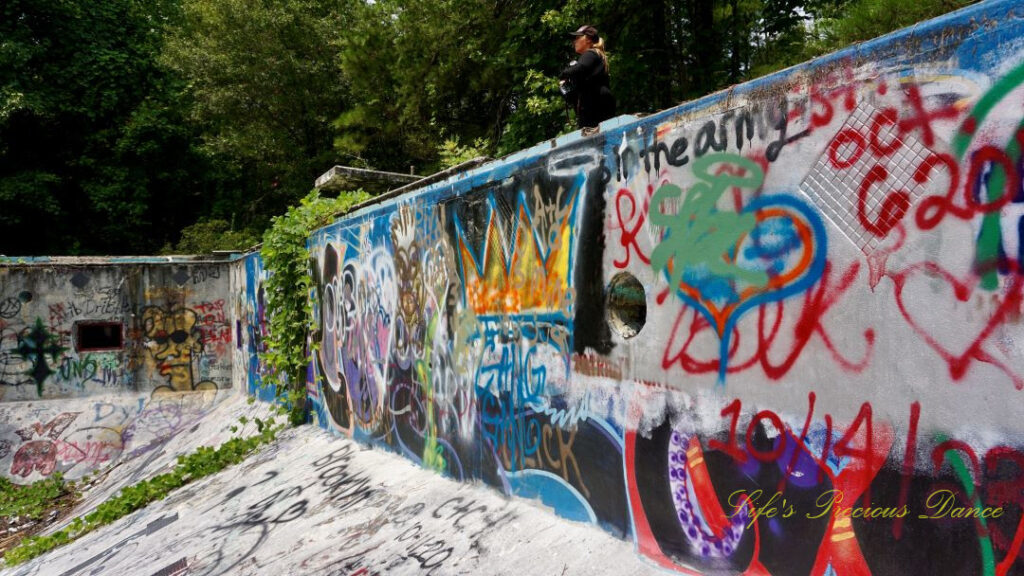 Close up view of graffiti and vine covered wall inside the abandoned Springs Recreation Pool.