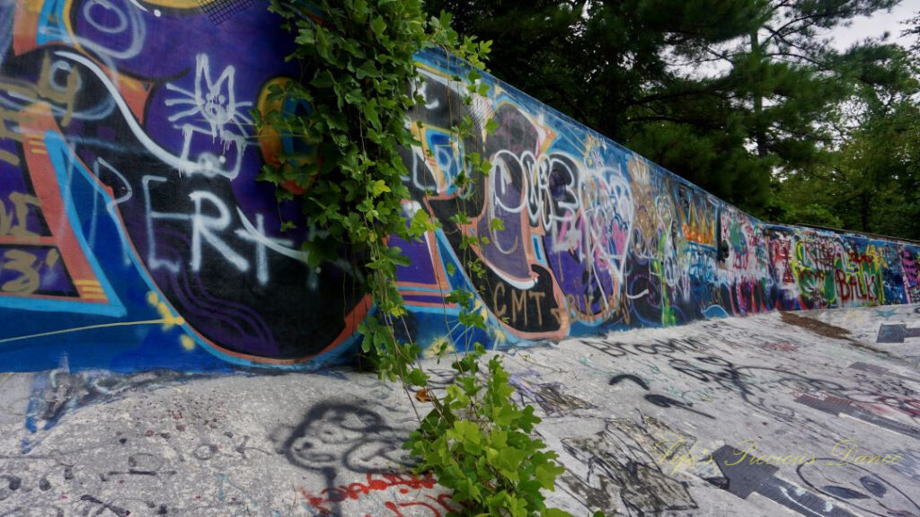 Close up view of graffiti and vine covered wall inside the abandoned Springs Recreation Pool.