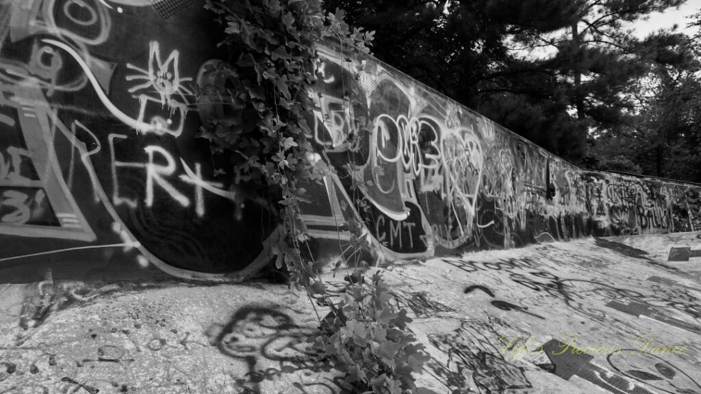 Black and white close up view of graffiti and vine covered wall inside the abandoned Springs Recreation Pool.