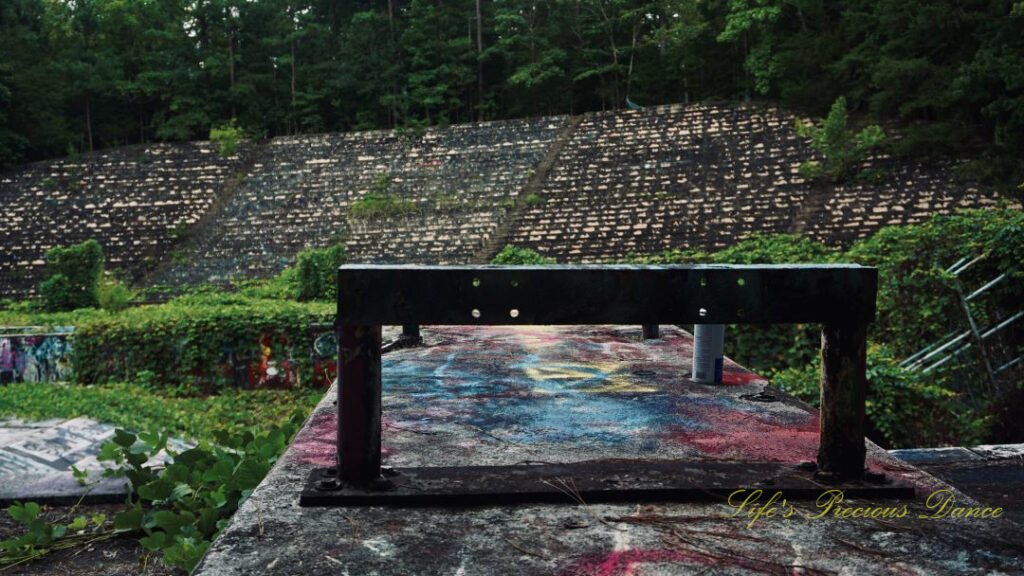 View from the diving board platform looking outward to the vine covered concrete bleachers.