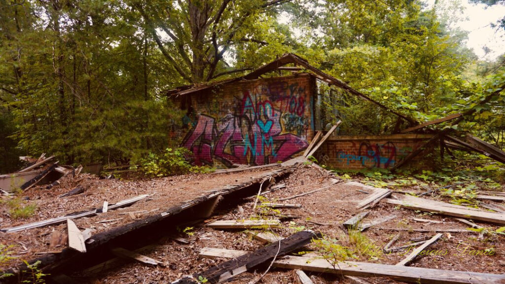 Remains of the graffiti covered changing room at Springs Recreation Park.