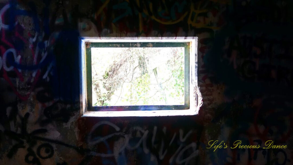 Close up of a window, surrounded by graffiti, looking outward at the abandoned Springs Recreation pool