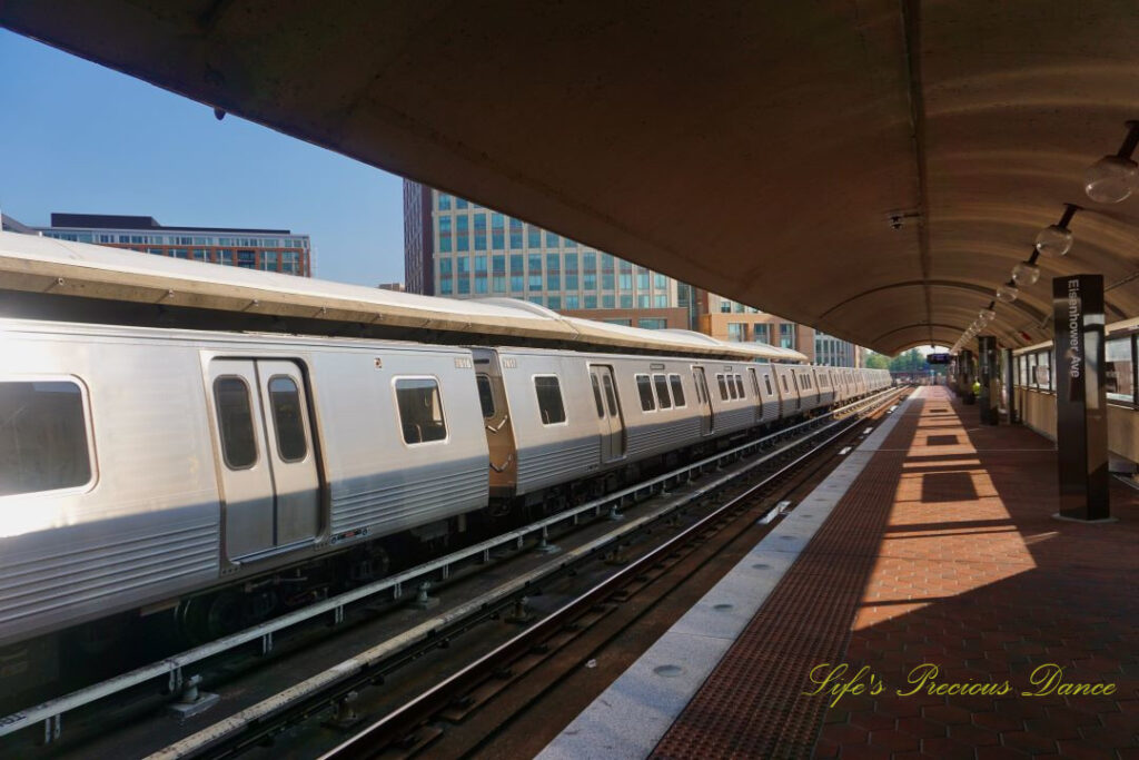 Street level view of a train docking at the DC metro station.