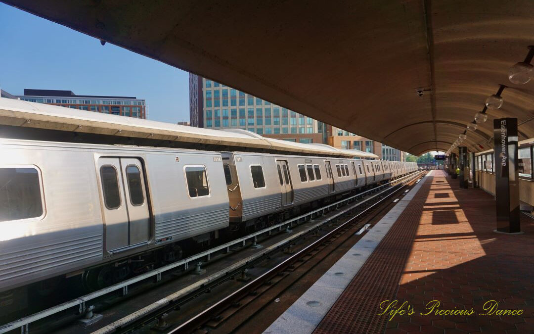 Street level view of a train docking at the DC metro station.