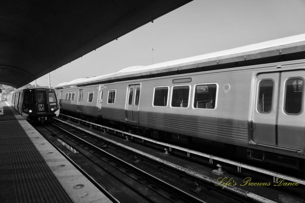 Black and white street level view of two trains passing at the DC Metro docking station.