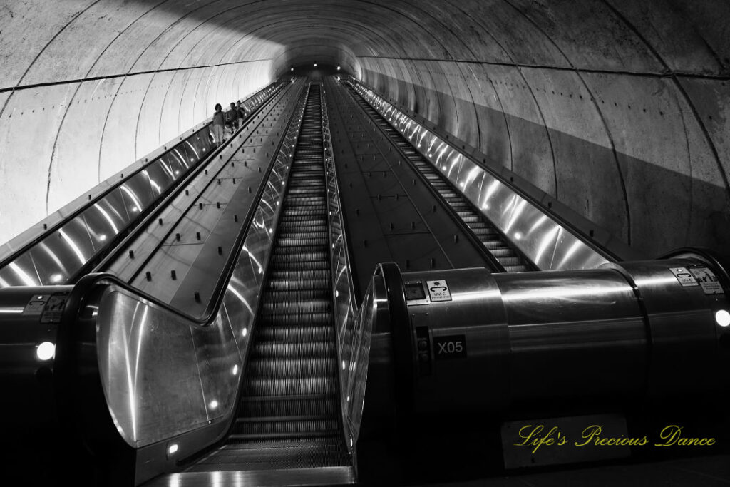 Black and white ground level view, looking upward at a extremely long escalator rising in the DC Metro station.