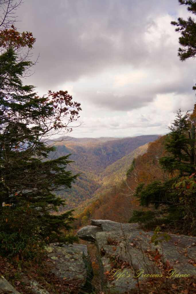 View from Caesar&#039;s Head, through two pine trees, looking down at the colorful mountain peaks and valleys.