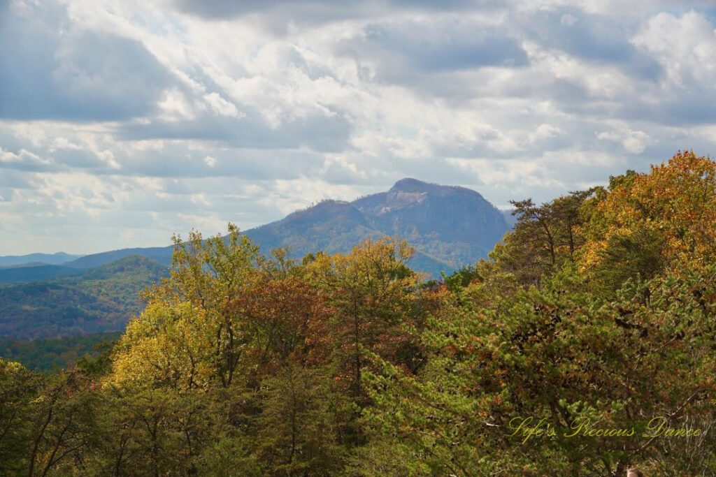 Distant view of Table Rock with passing clouds overhead and a row of colorful trees in the foreground.