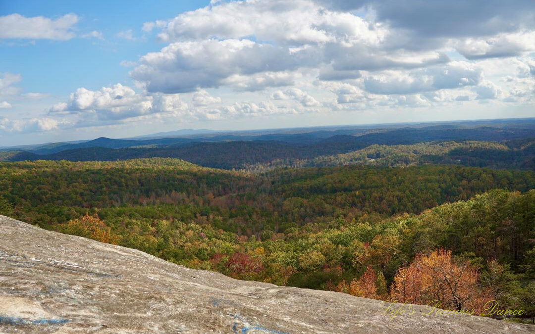 Bald Rock Heritage Preserve