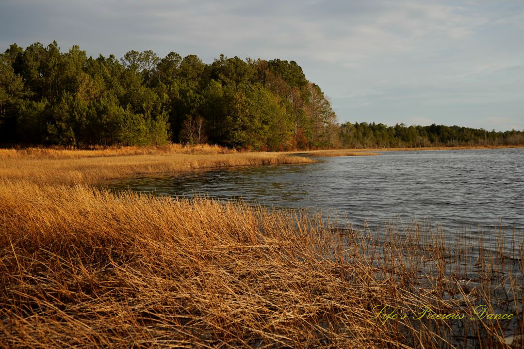 View from the bank of brownish grass along and around the lake at Goodale State Park. Trees in the background and cloudy skies overhead.