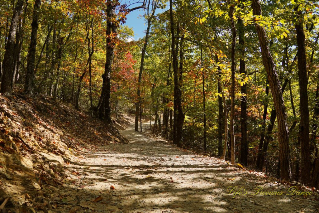 Nature trail at Hanging Rock State Park, surrounded by pines and colorful hardwoods.