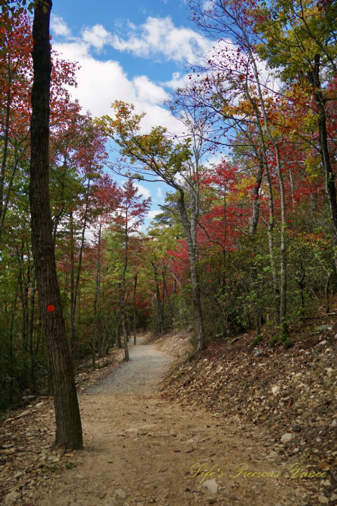 Nature trail at Hanging Rock State Park, surrounded by pines and colorful hardwoods. Passing clouds overhead.