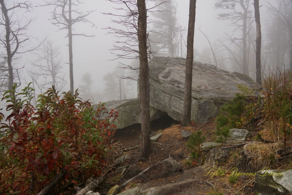 Giant rock slab tilted against another. Fog surrounding trees in the background.