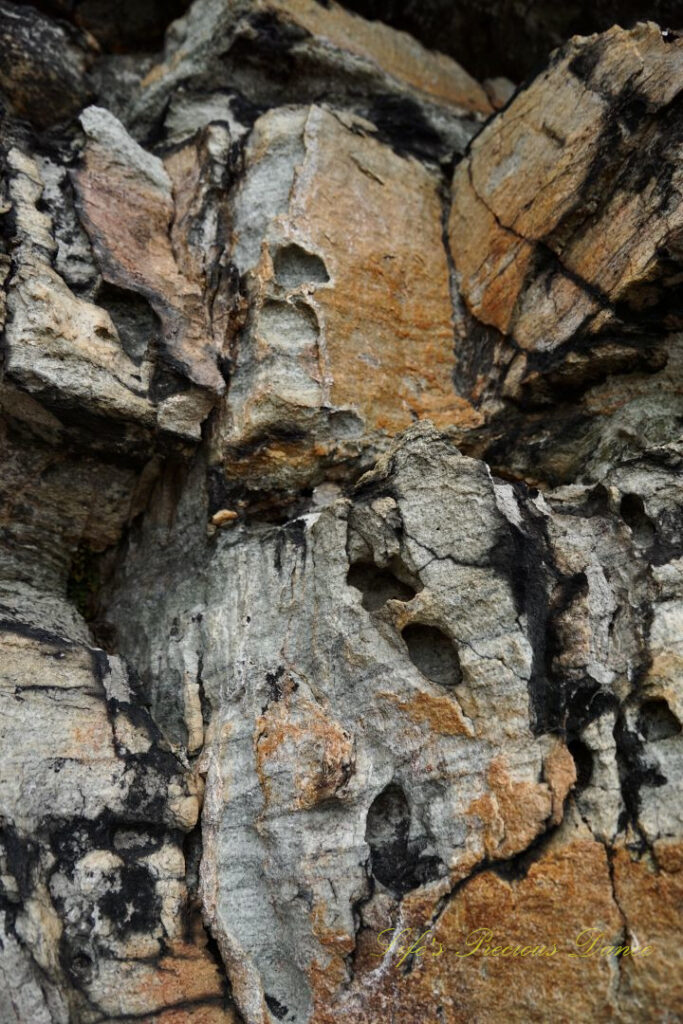 Close up of the multi-colored jagged face of Pilot Mountain.