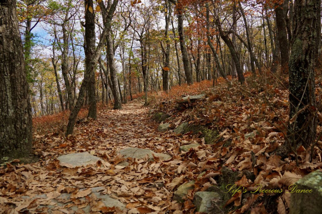 Looking down a leave covered trail. Small rock slabs scattered about and colorful trees in the background.