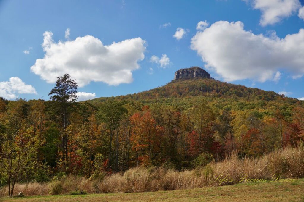 Looking upwards at Pilot Mountain. Passing fluffy clouds overhead and colorful trees down below.