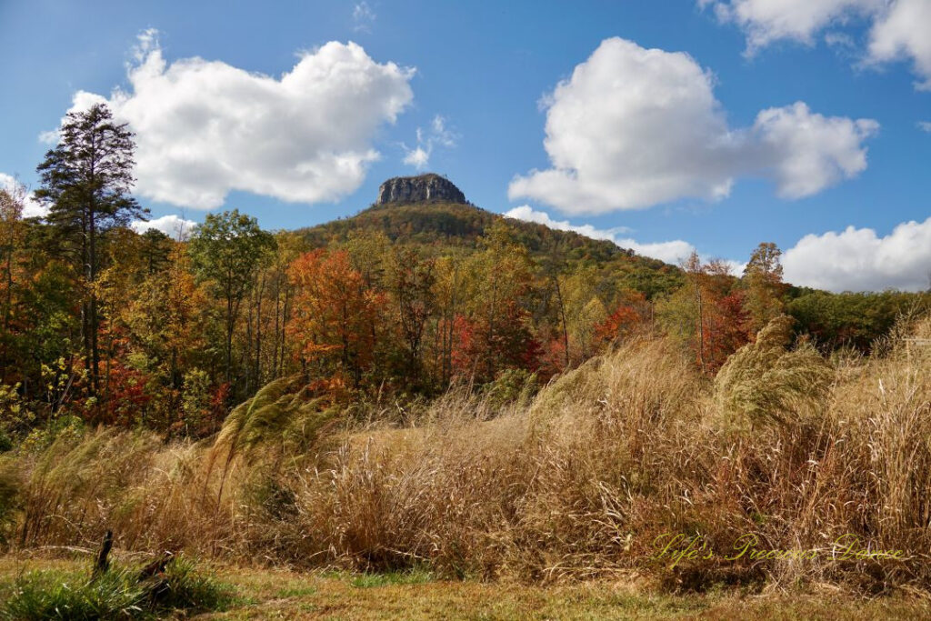 Looking upwards at Pilot Mountain. Passing fluffy clouds overhead and colorful trees down below.